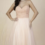 1195.SA Biascheren (1)