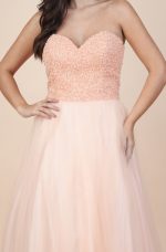 1195.SA Biascheren (1)