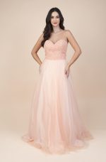 1195.SA Biascheren (1)