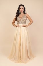 1346.DD – Biascheren (1)