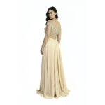 1342.DD – Biascheren (1)