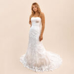 1177BR (1)